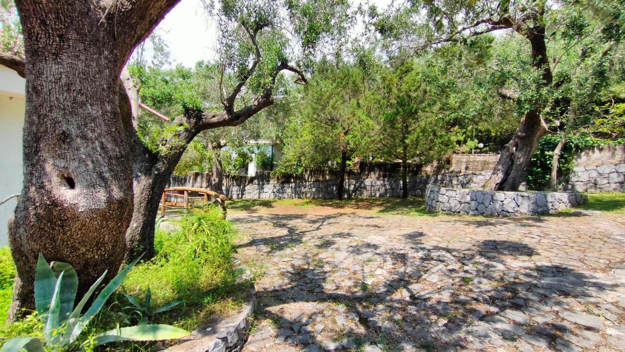Villa Irma Marina di Camerota Extérieur photo