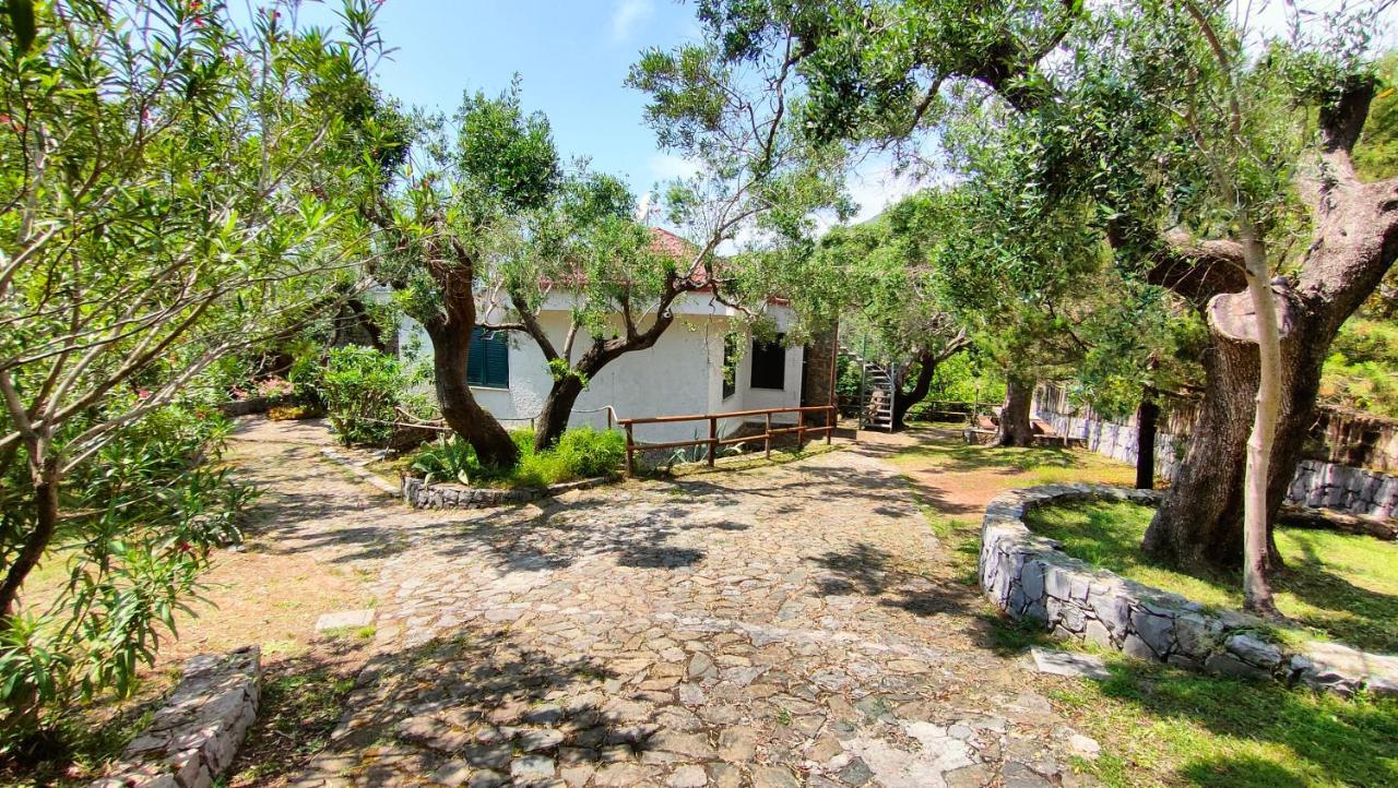Villa Irma Marina di Camerota Extérieur photo