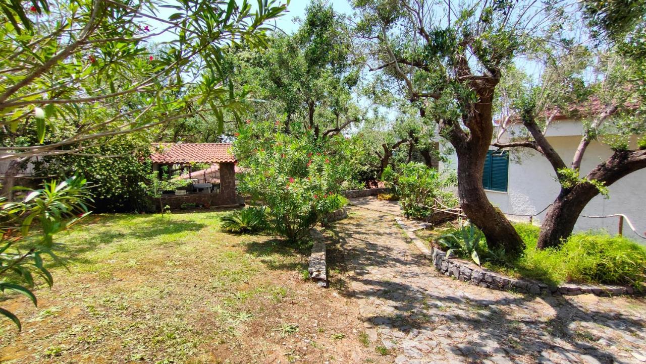 Villa Irma Marina di Camerota Extérieur photo