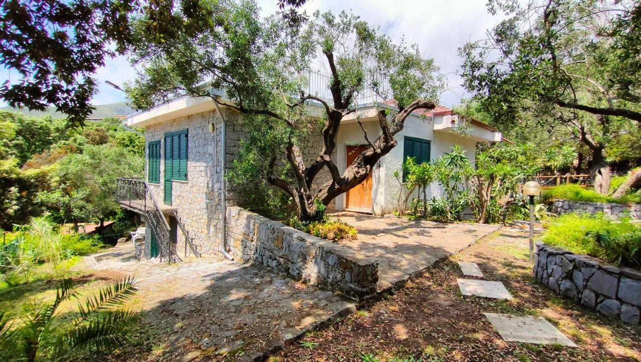 Villa Irma Marina di Camerota Extérieur photo