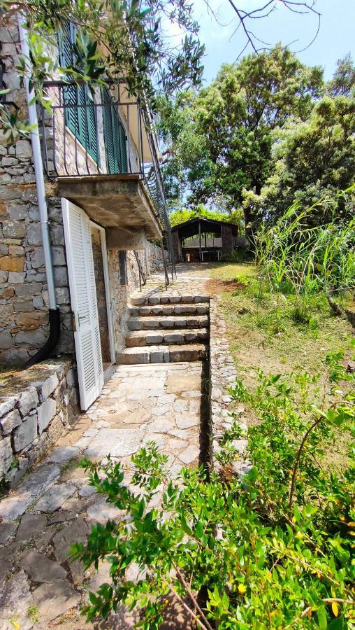 Villa Irma Marina di Camerota Extérieur photo