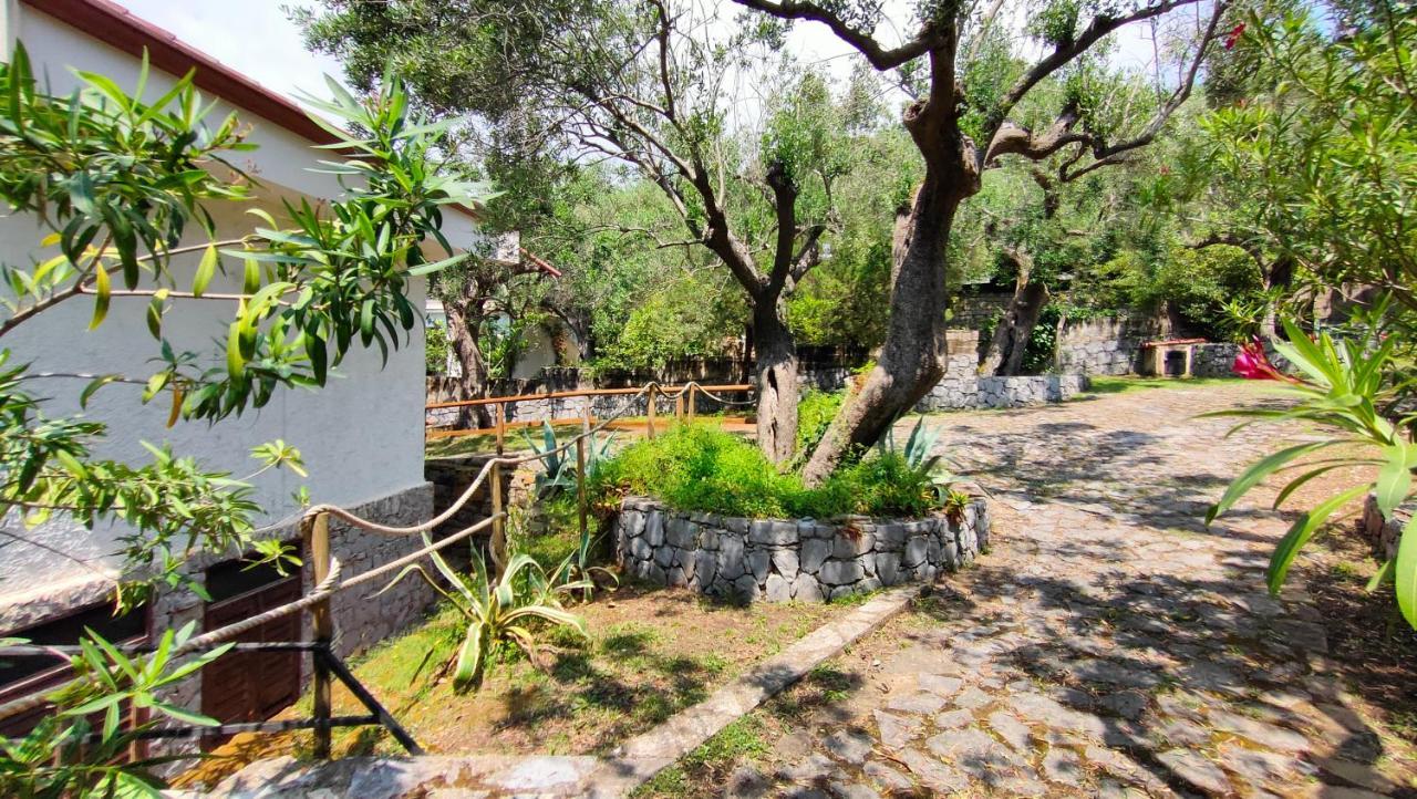 Villa Irma Marina di Camerota Extérieur photo