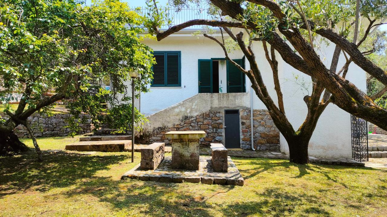 Villa Irma Marina di Camerota Extérieur photo