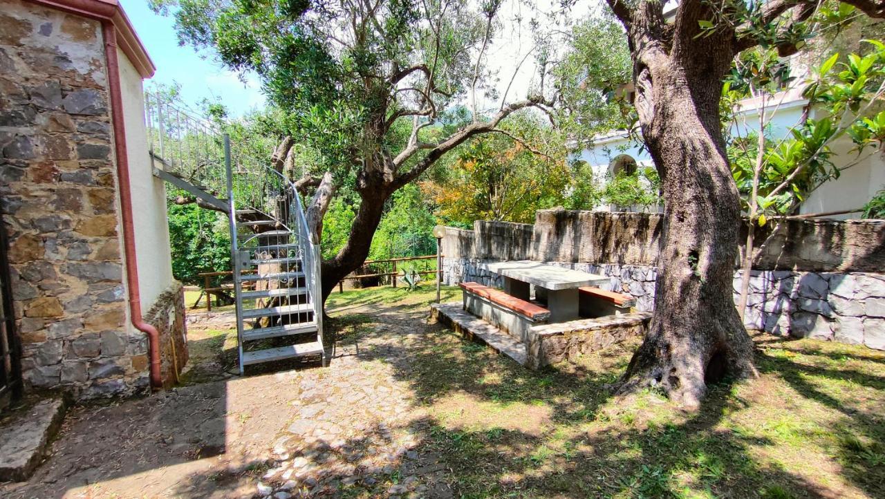 Villa Irma Marina di Camerota Extérieur photo