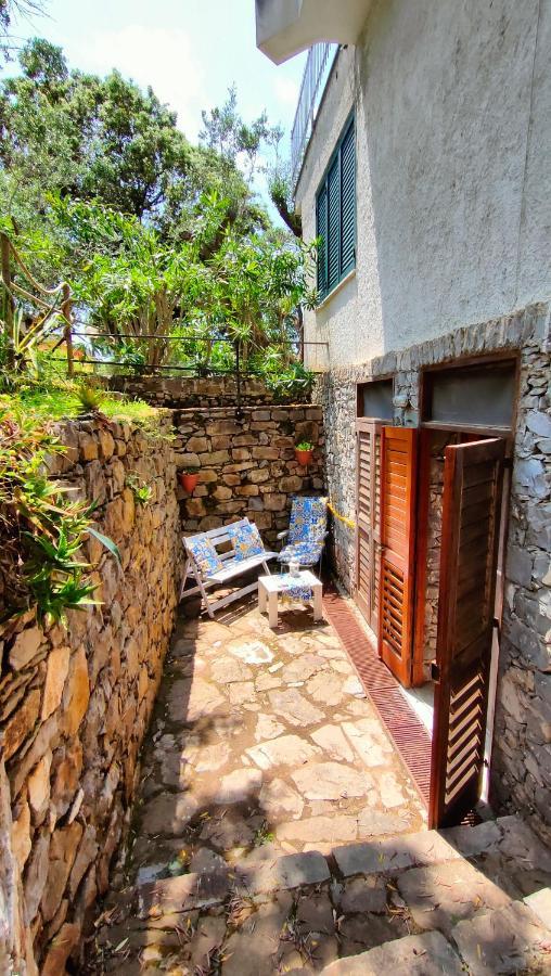 Villa Irma Marina di Camerota Extérieur photo