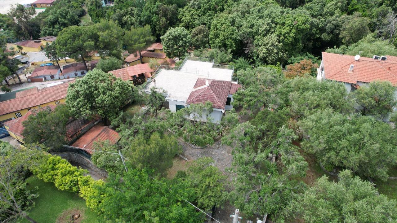 Villa Irma Marina di Camerota Extérieur photo